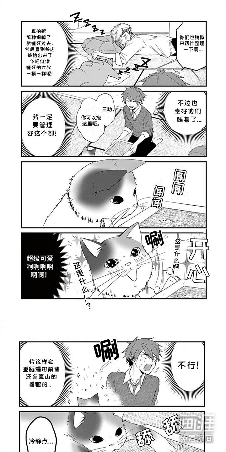 第16章：木天蓼