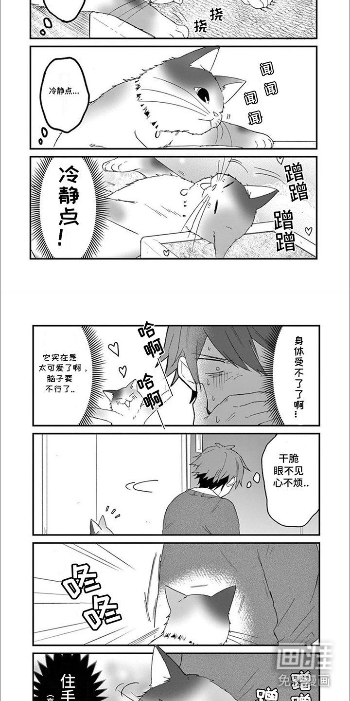 第16章：木天蓼
