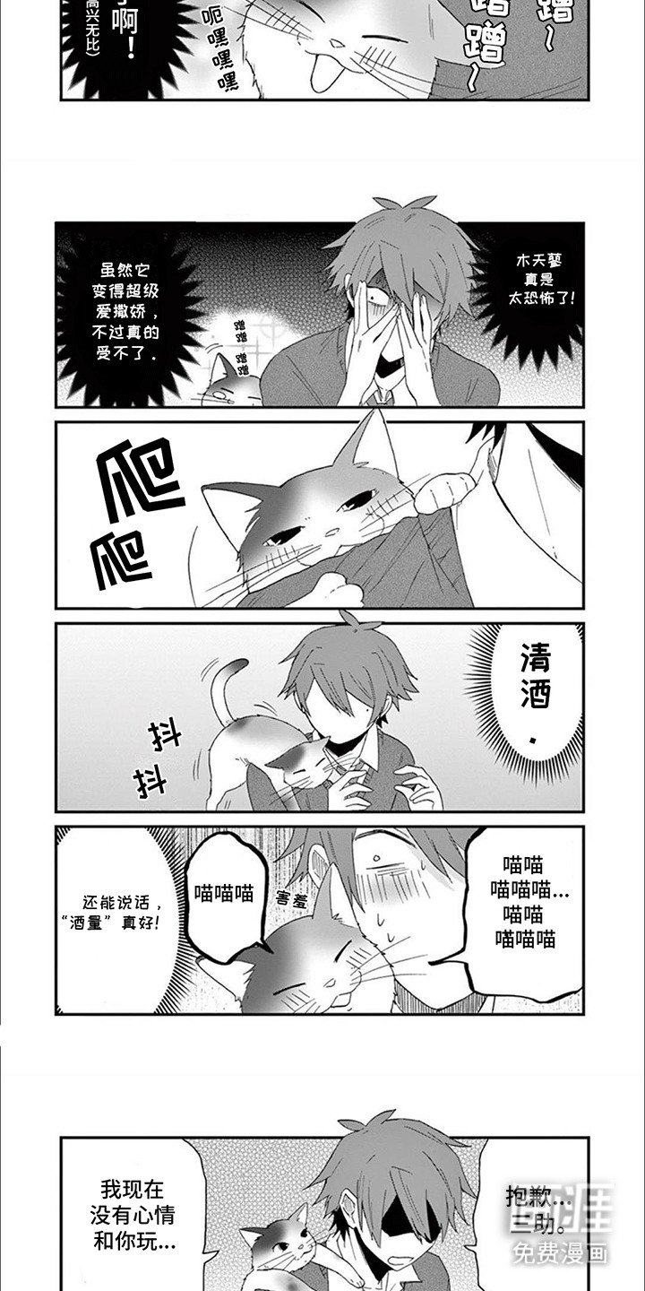 第16章：木天蓼