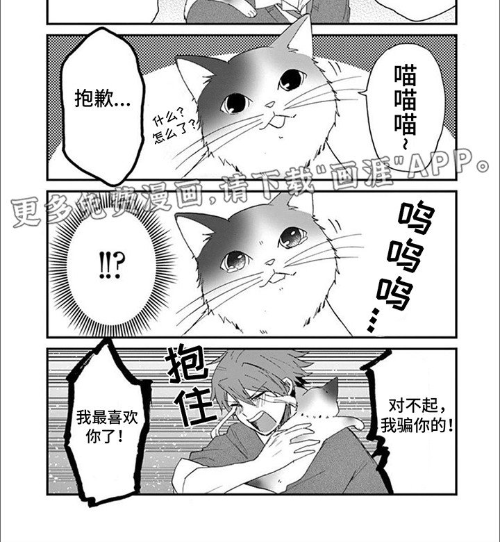 第16章：木天蓼