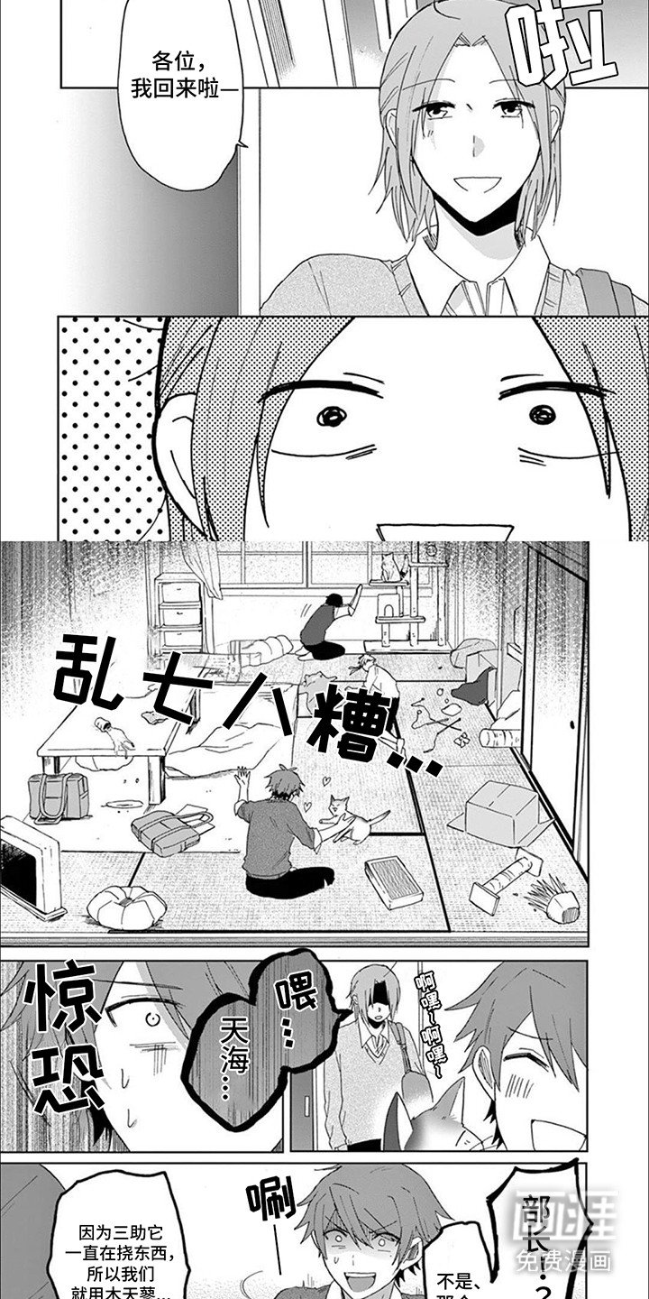 第17章：猫猫社危机