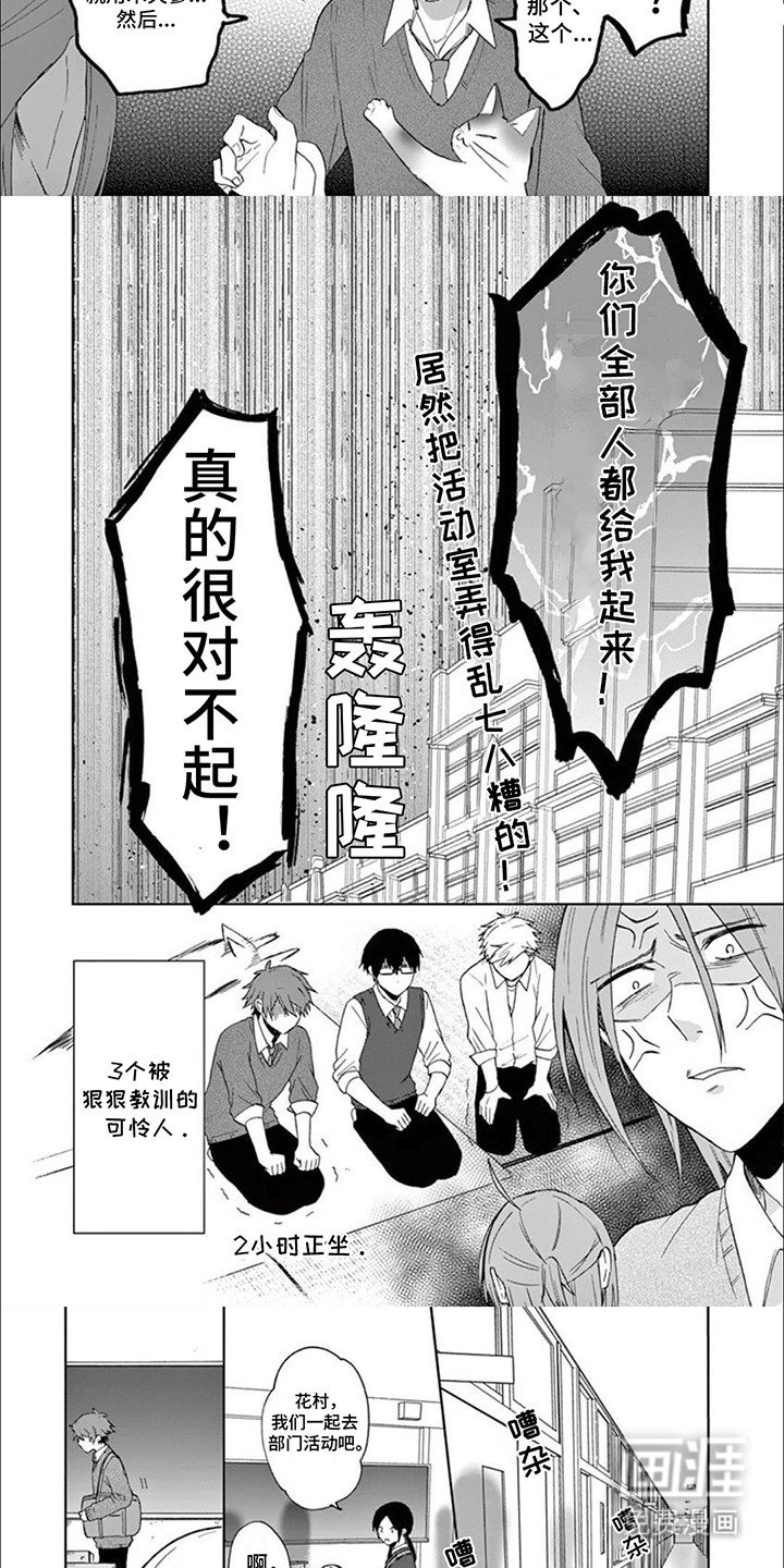 第17章：猫猫社危机