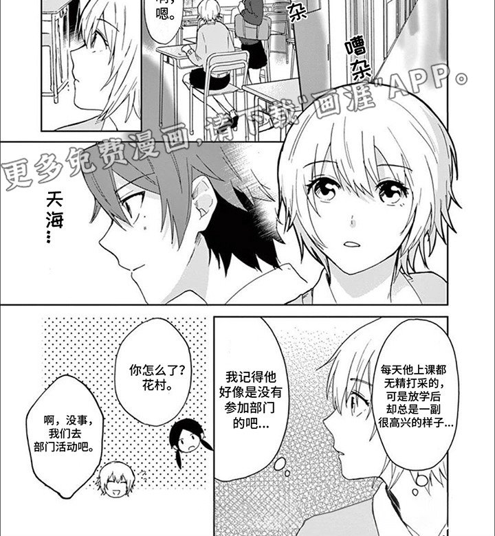 第17章：猫猫社危机