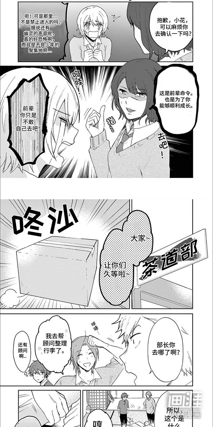 第17章：猫猫社危机