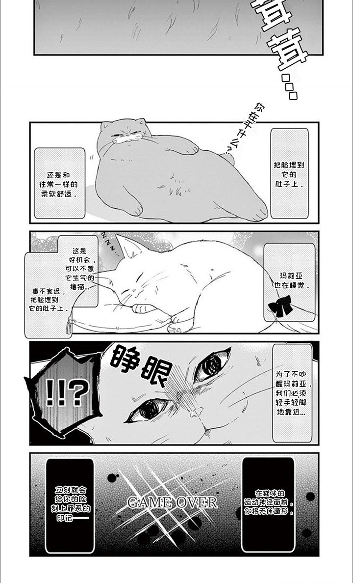 第19章：新的危机出现