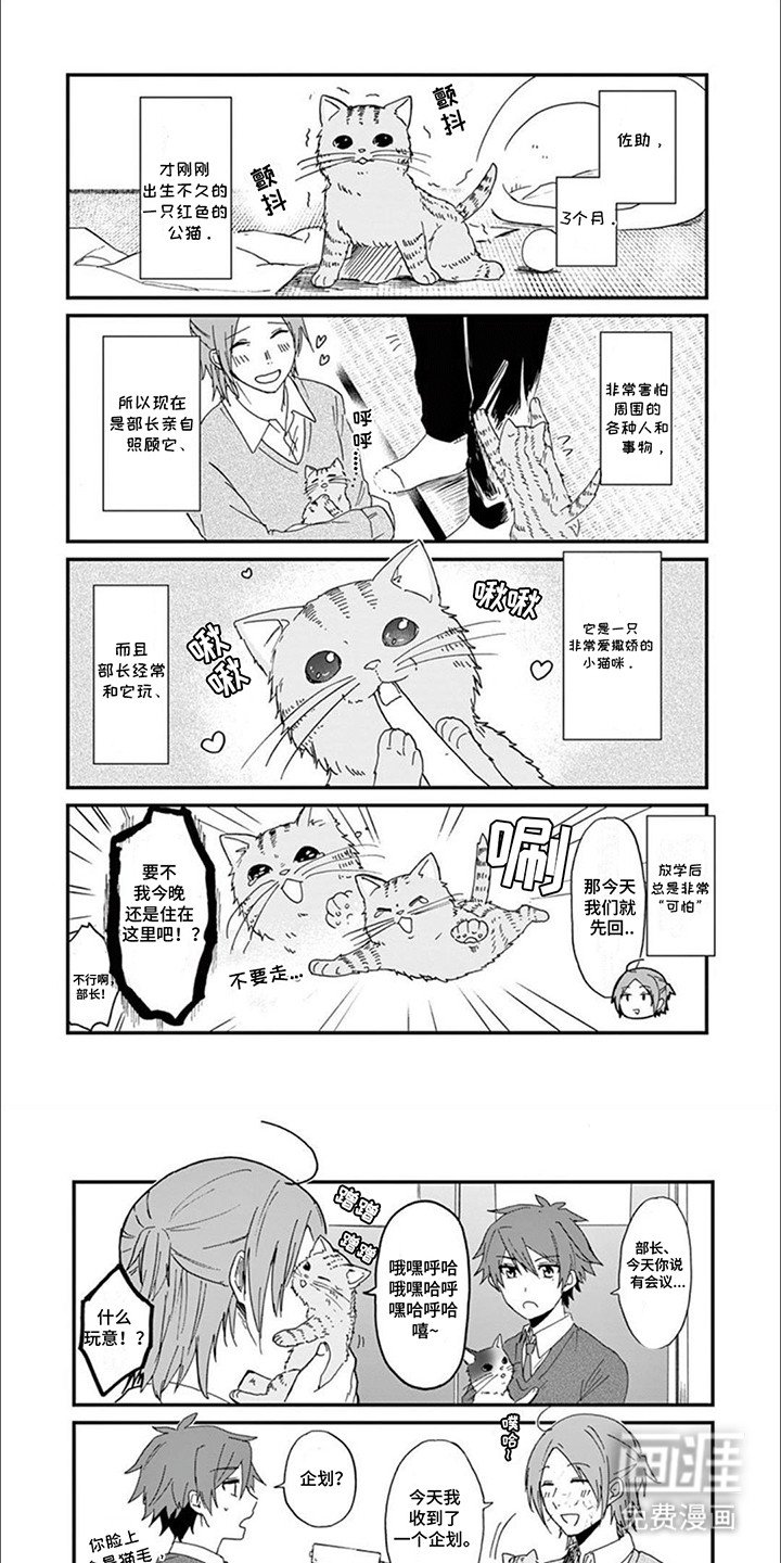 第2章：给猫猫拍照片