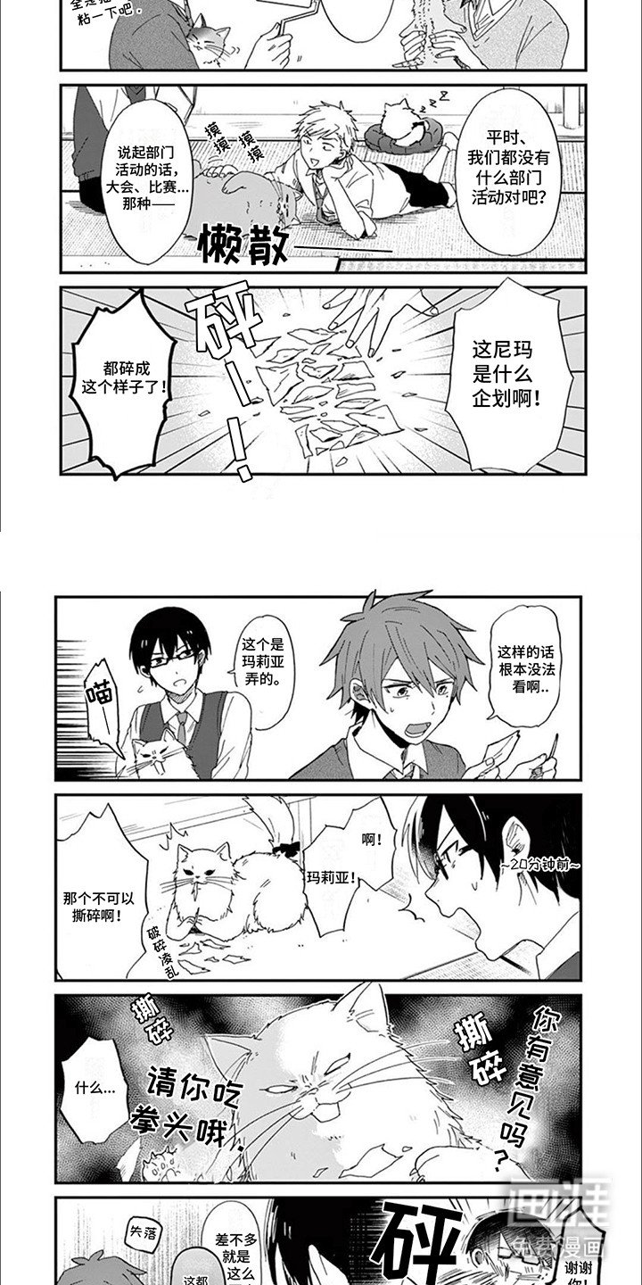 第2章：给猫猫拍照片