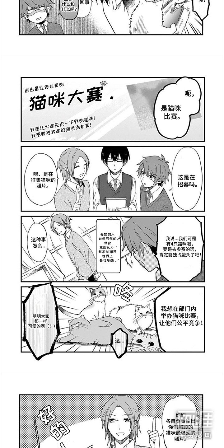第2章：给猫猫拍照片