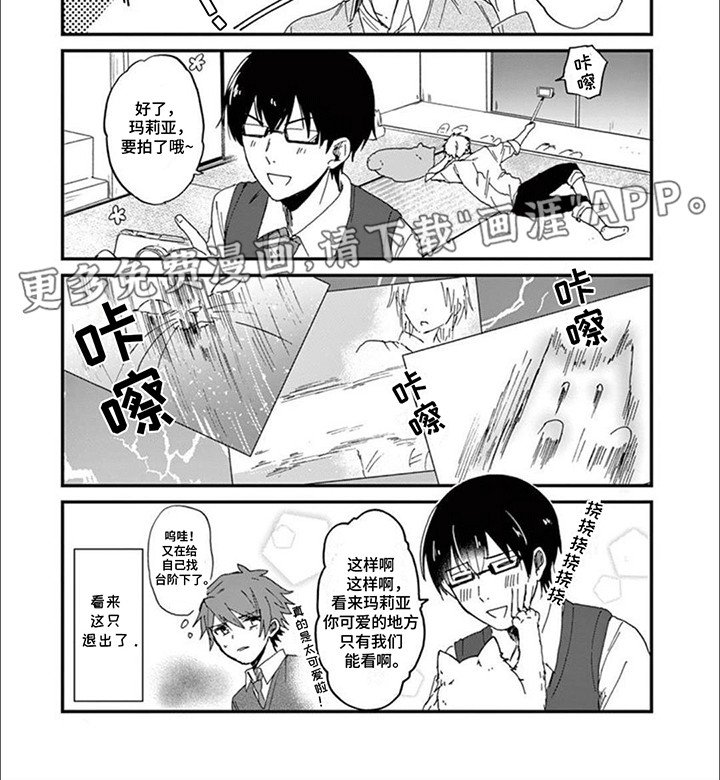 第2章：给猫猫拍照片