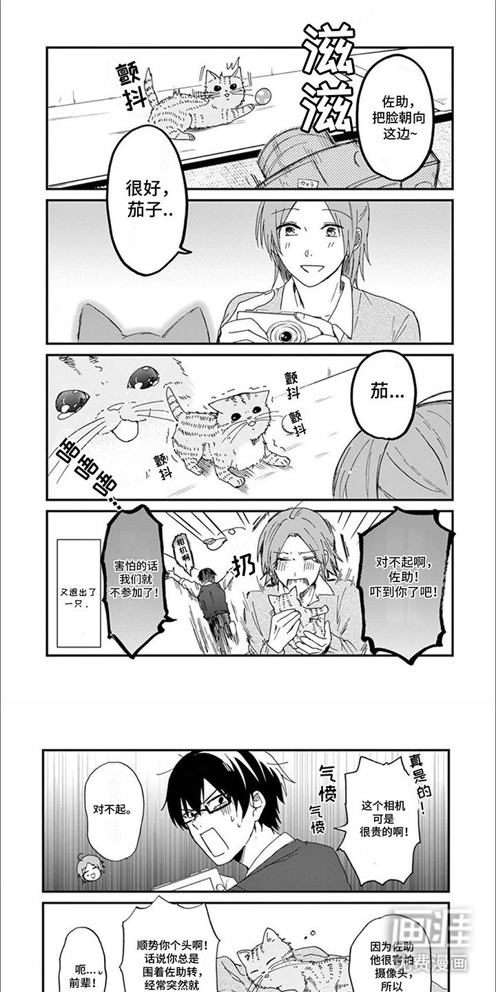 第2章：给猫猫拍照片