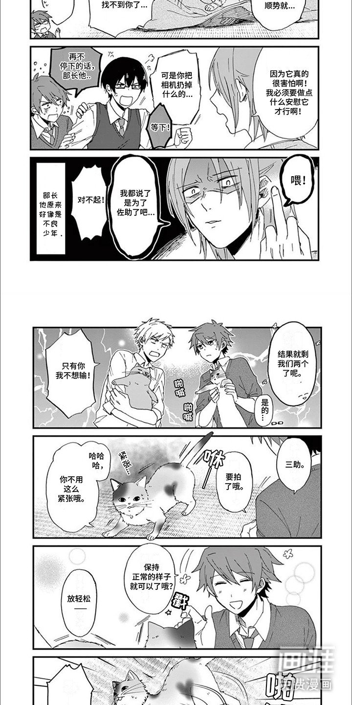 第2章：给猫猫拍照片