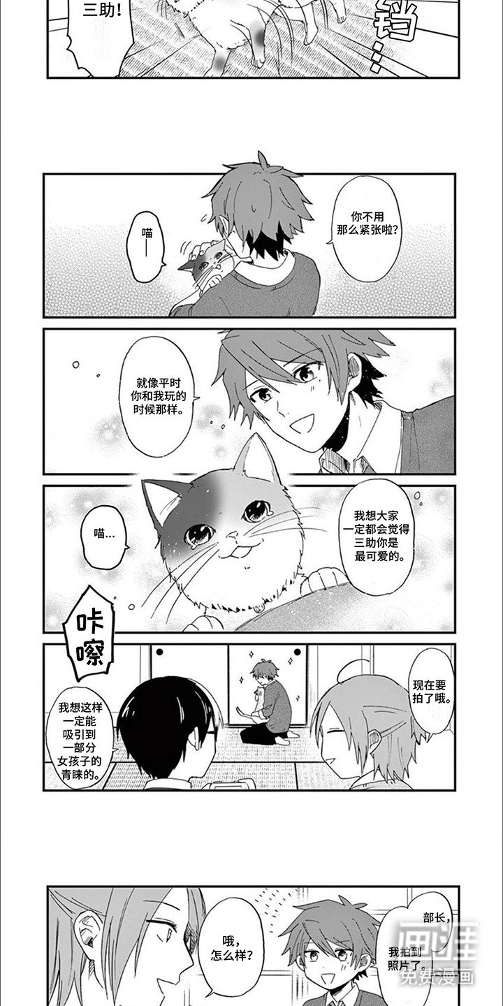 第2章：给猫猫拍照片
