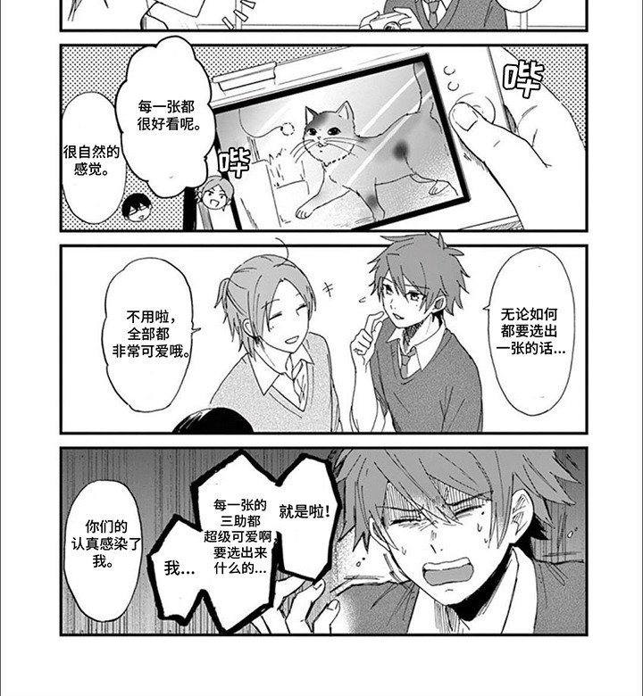 第2章：给猫猫拍照片