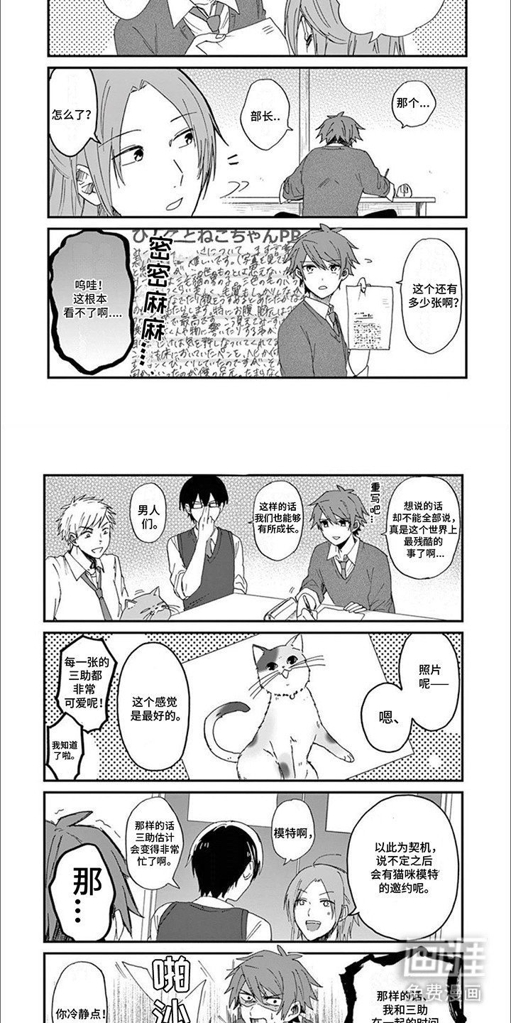 第3章：最美猫咪