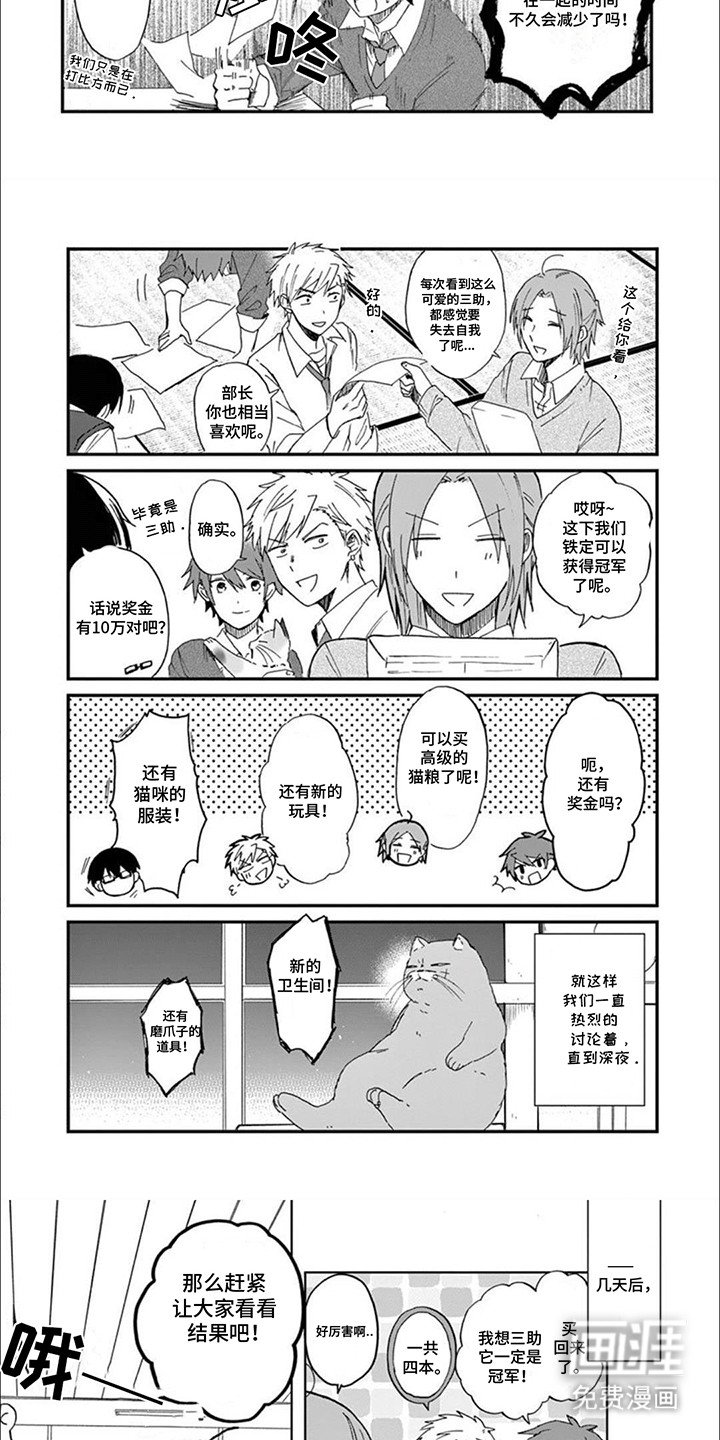 第3章：最美猫咪