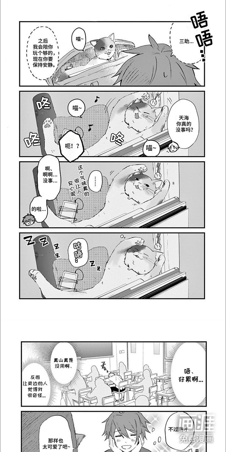 第5章：事情解决