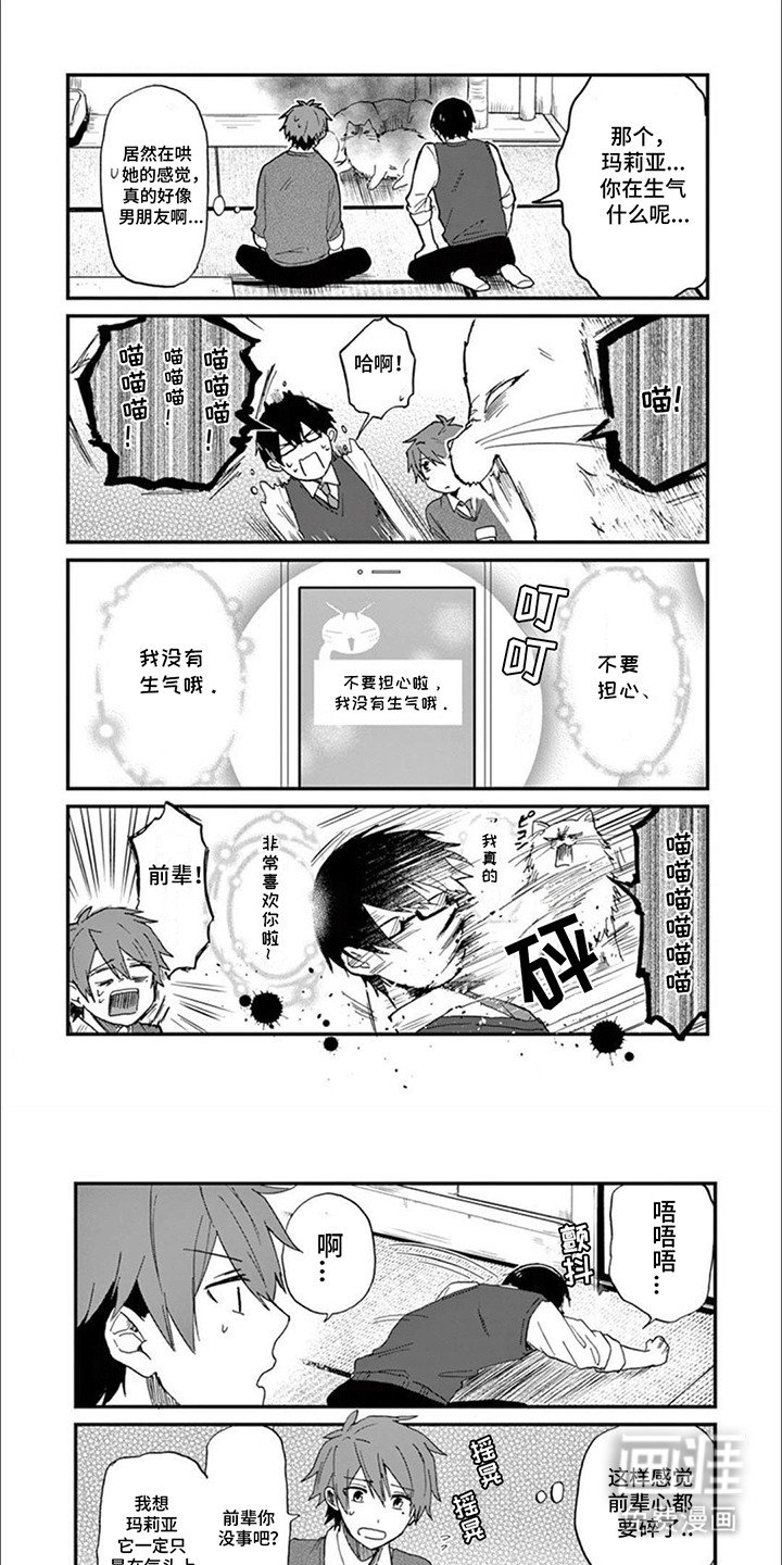 第7章：猫语