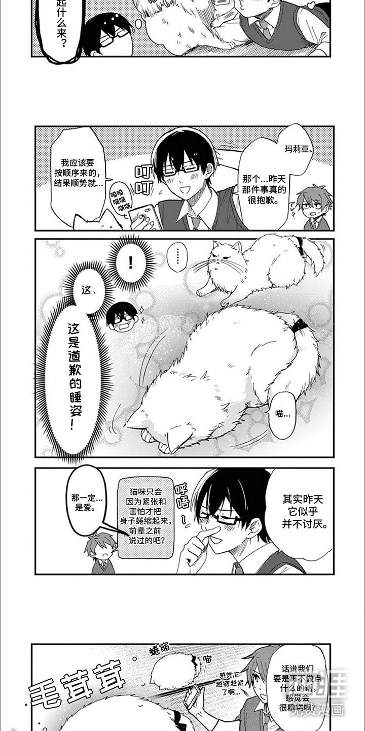 第7章：猫语