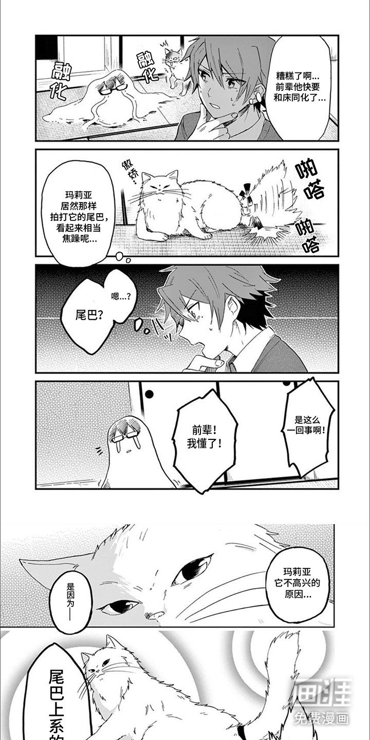 第7章：猫语