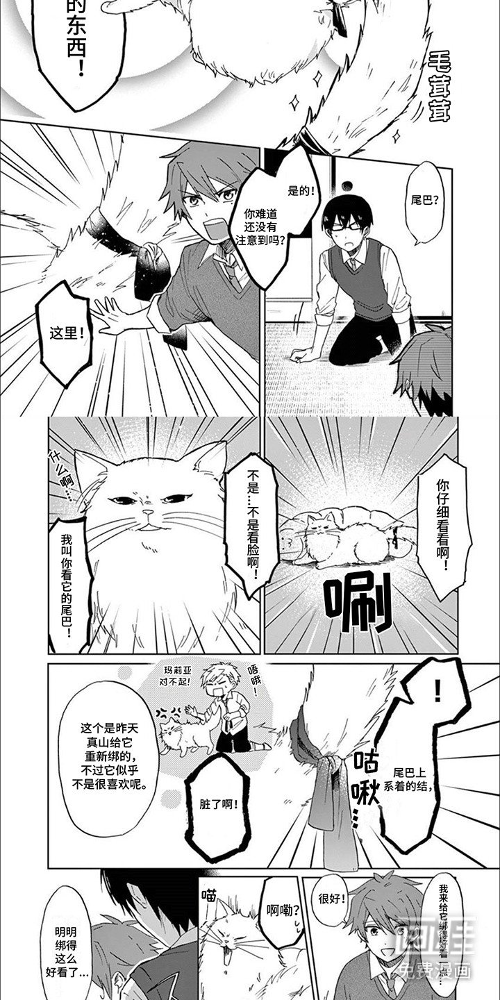 第7章：猫语