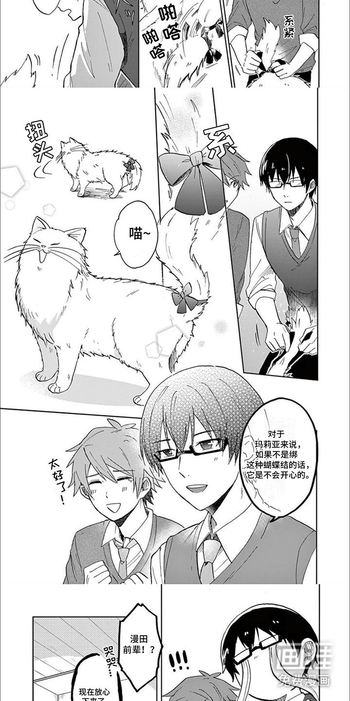 第7章：猫语