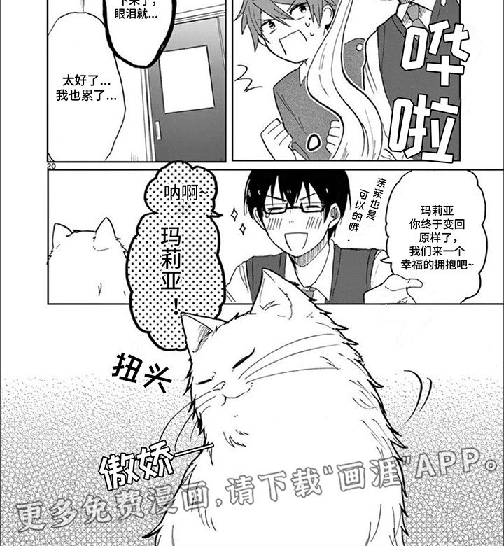 第7章：猫语