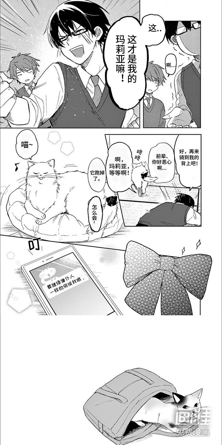 第8章：猫猫特工