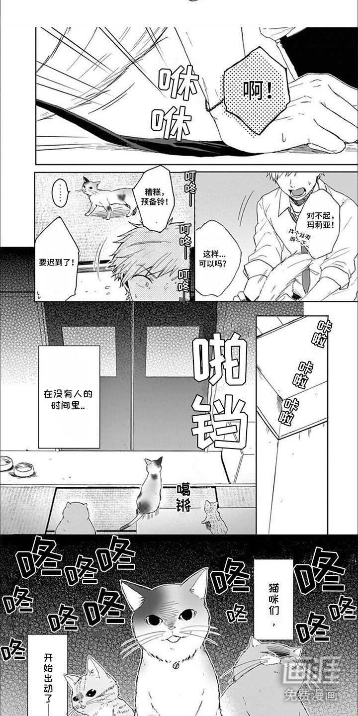 第8章：猫猫特工