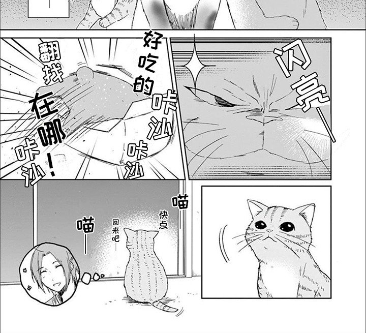 第8章：猫猫特工