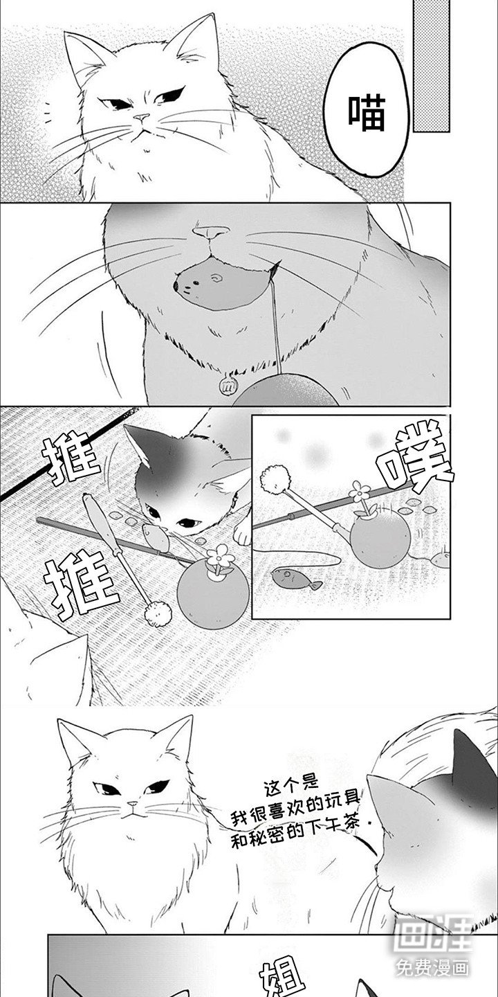 第9章：矛盾