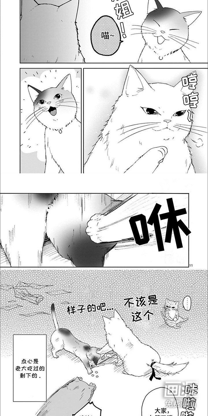第9章：矛盾