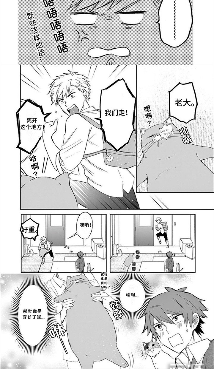 第9章：矛盾