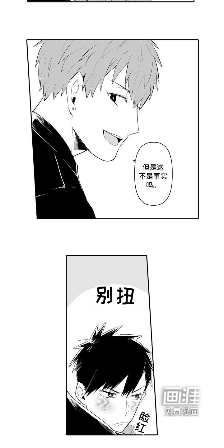 第11章：理解
