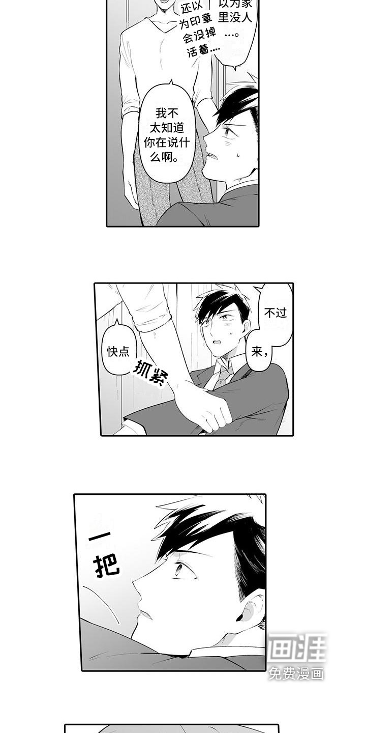第5章：说明