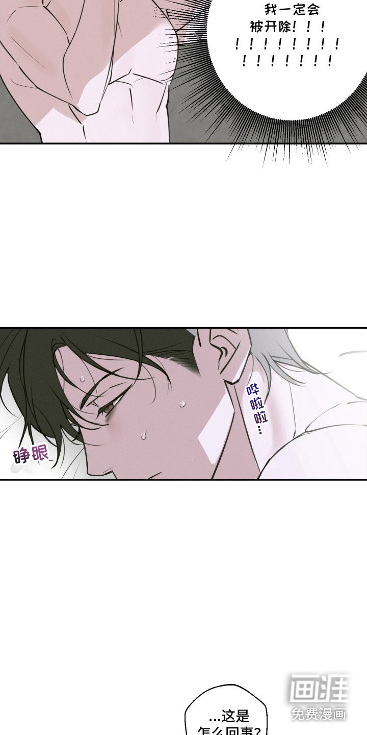 第3章：决定交往