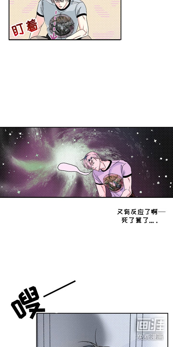 第11章：盯着看