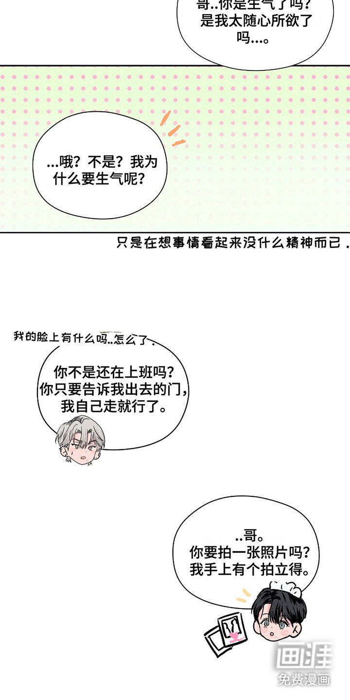 第15章：拍立得