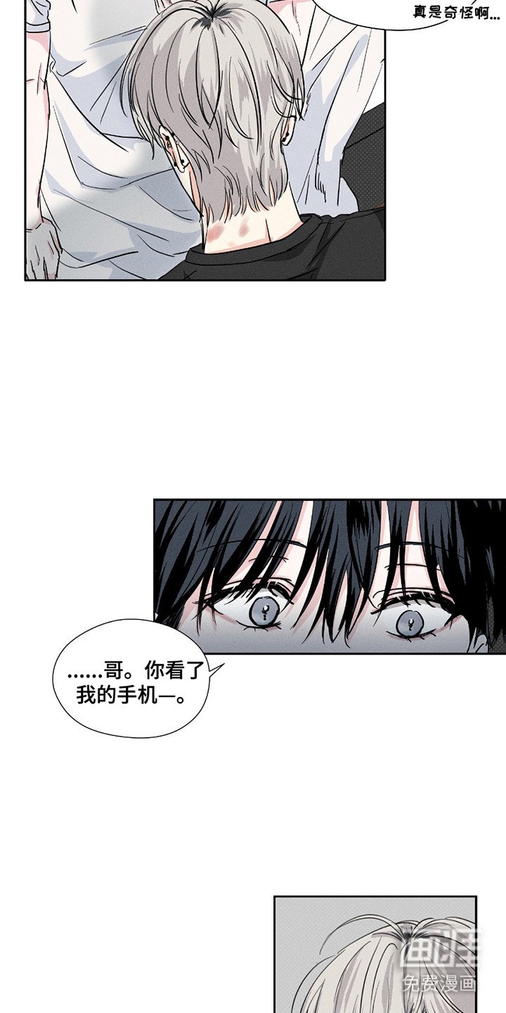 第20章：手机