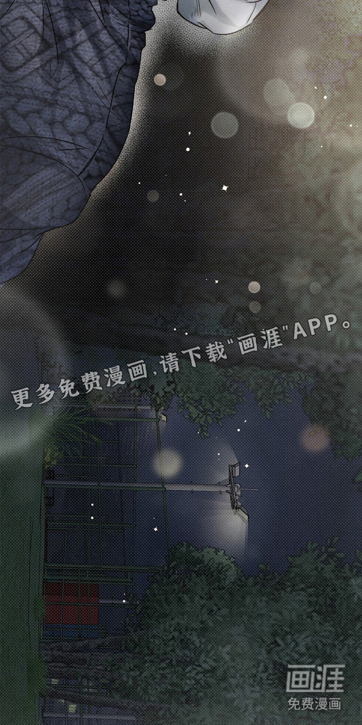 第24章：解释