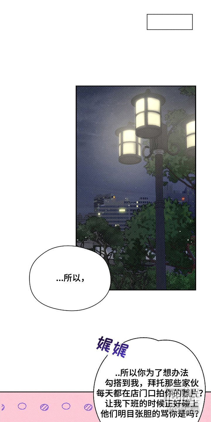 第24章：解释
