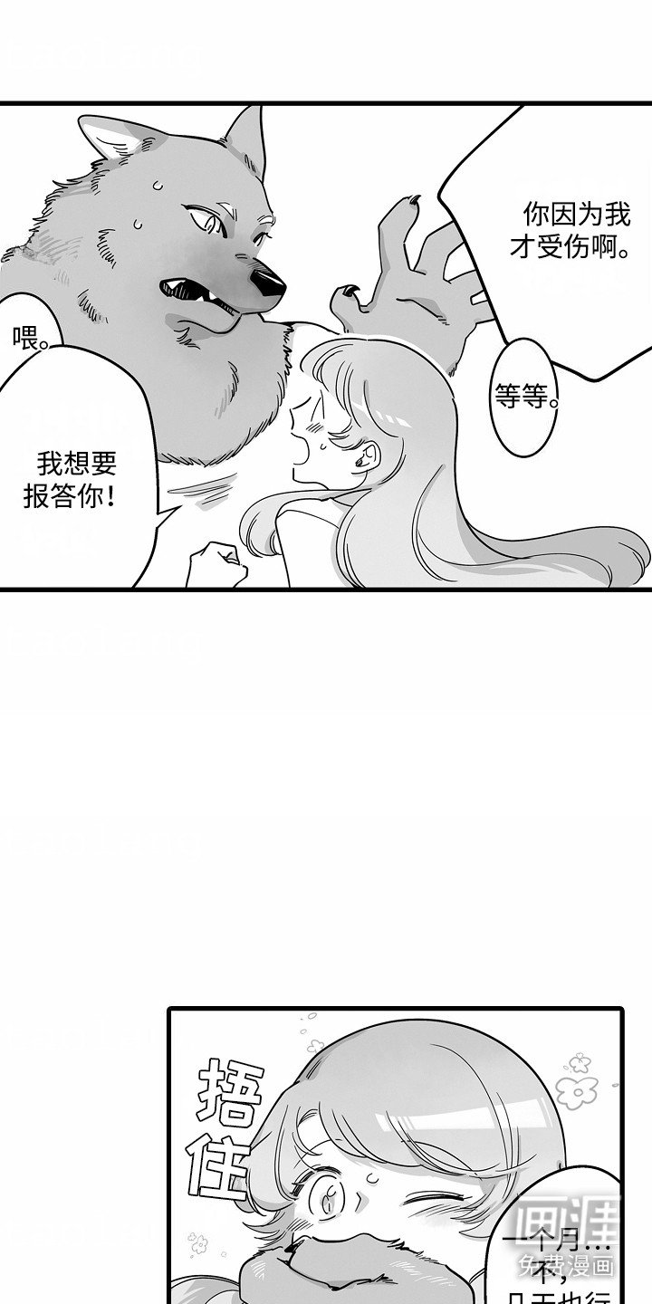第3章：报恩