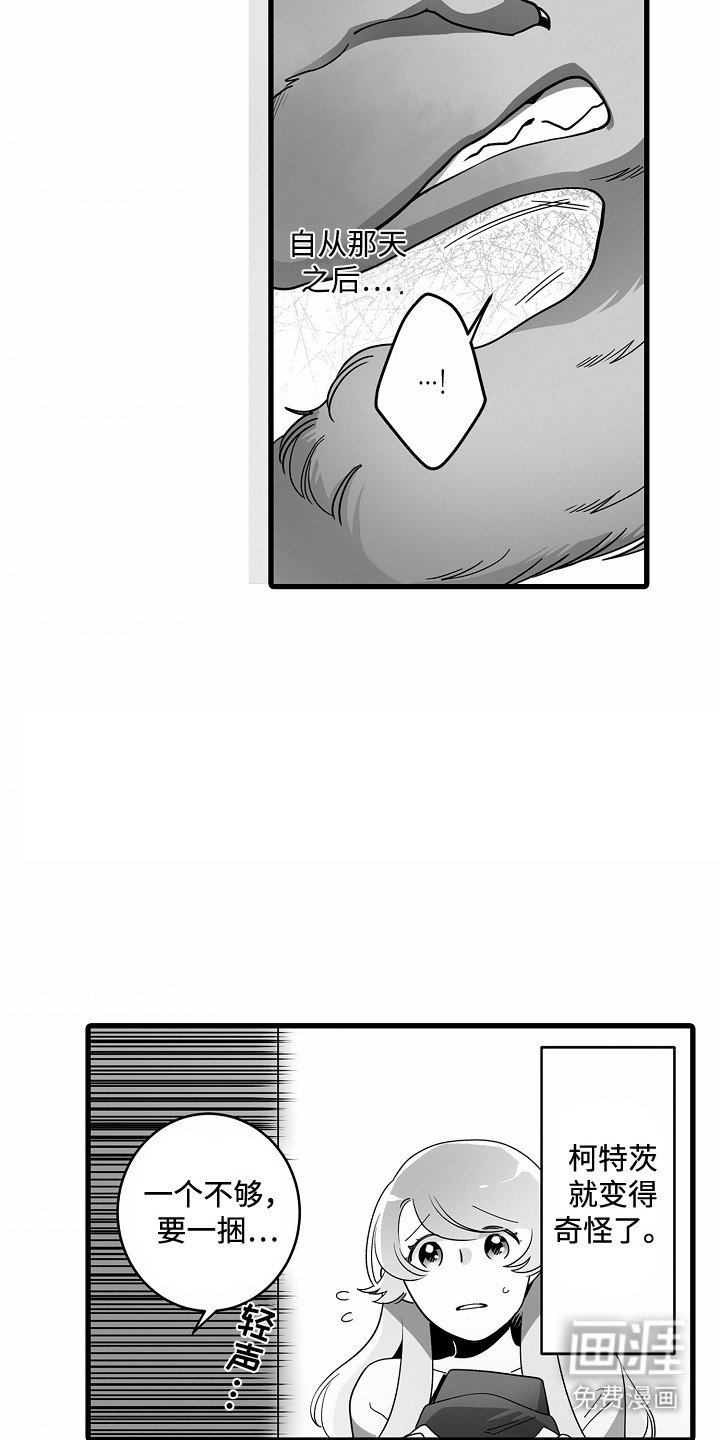 第8章：新月之夜