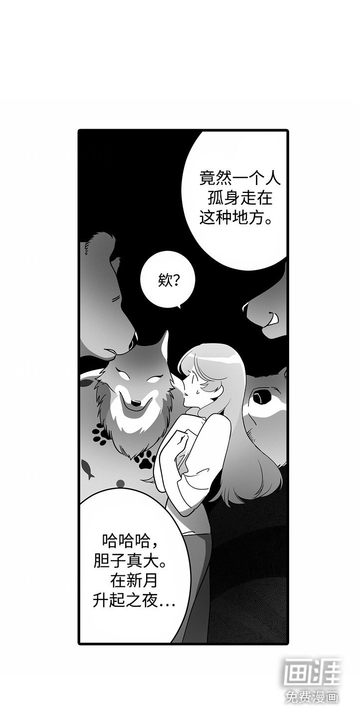 第8章：新月之夜