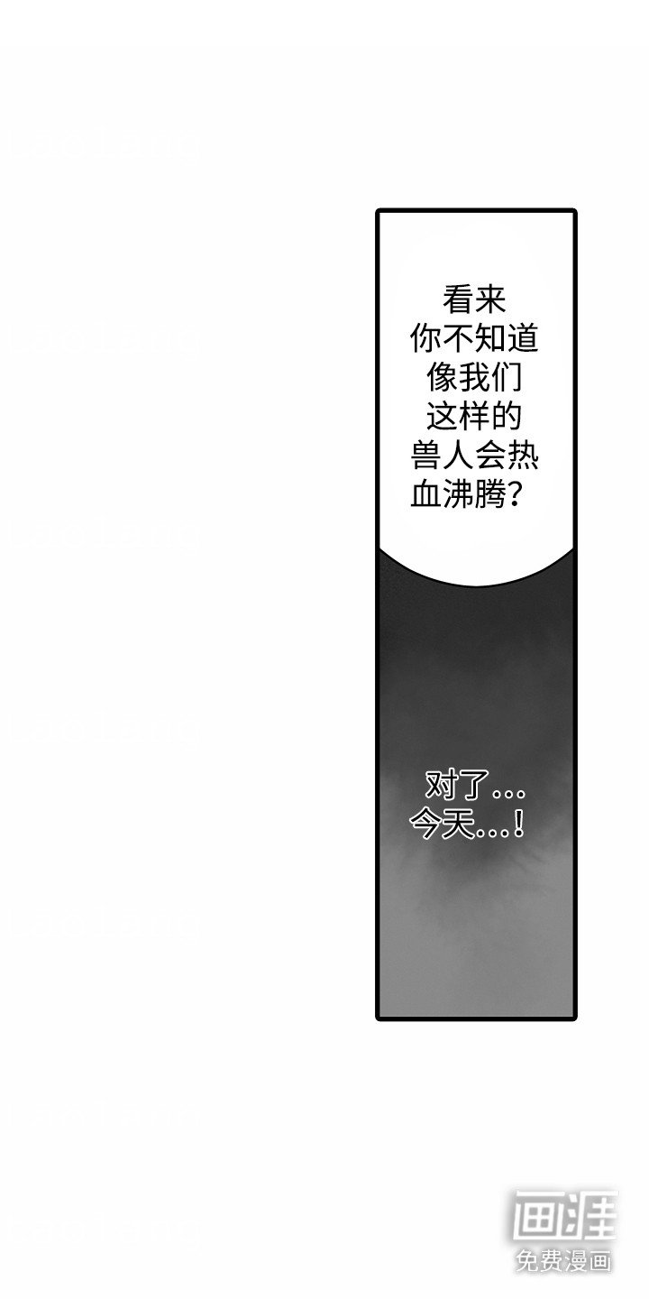 第8章：新月之夜