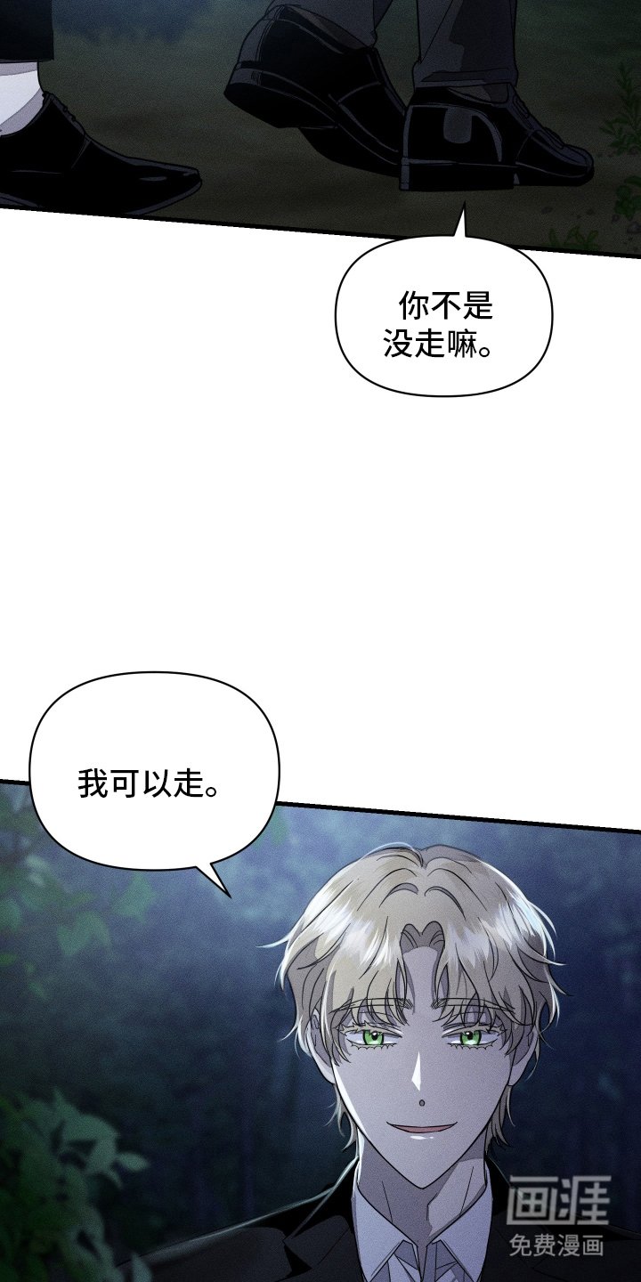第13章：黑暗