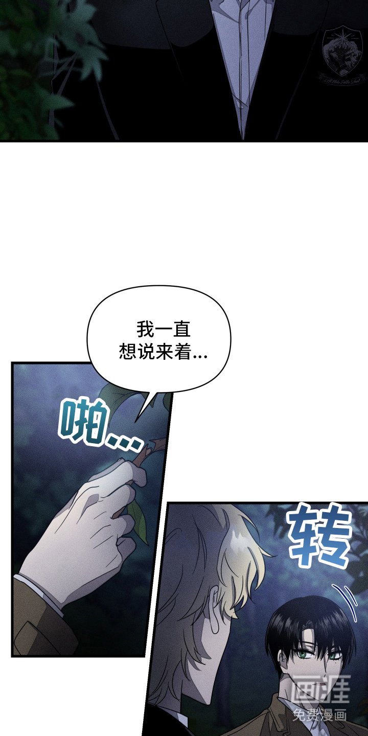 第13章：黑暗
