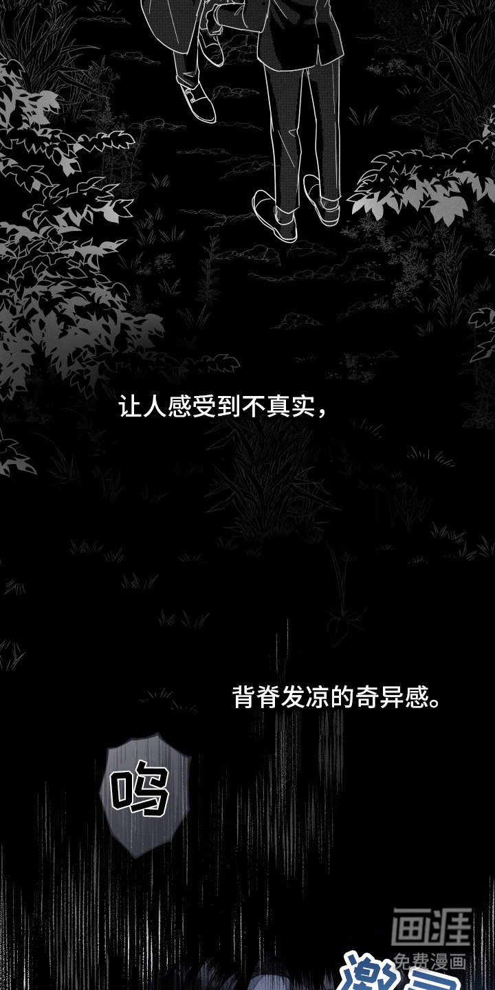 第13章：黑暗
