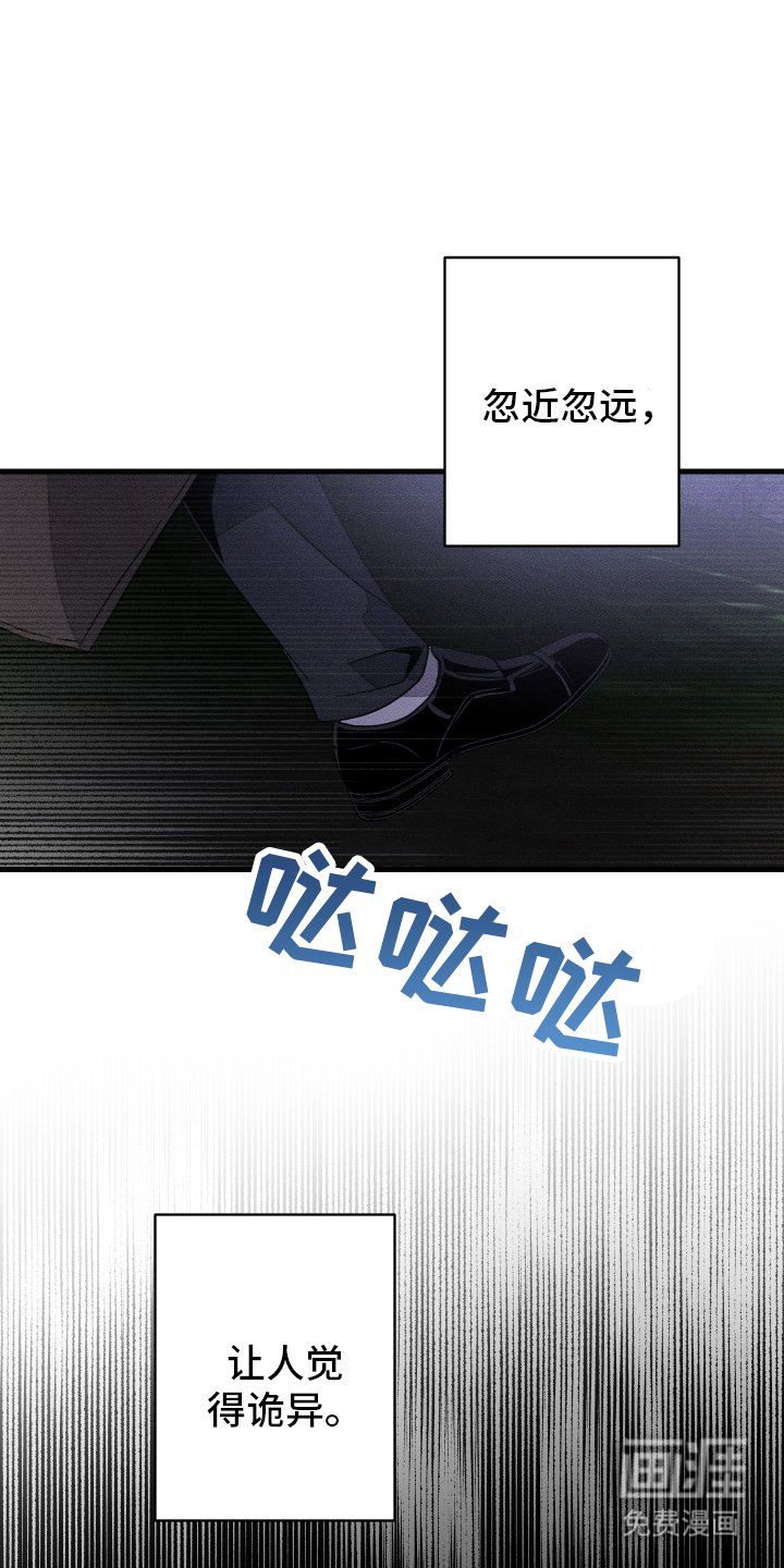 第14章：幻觉