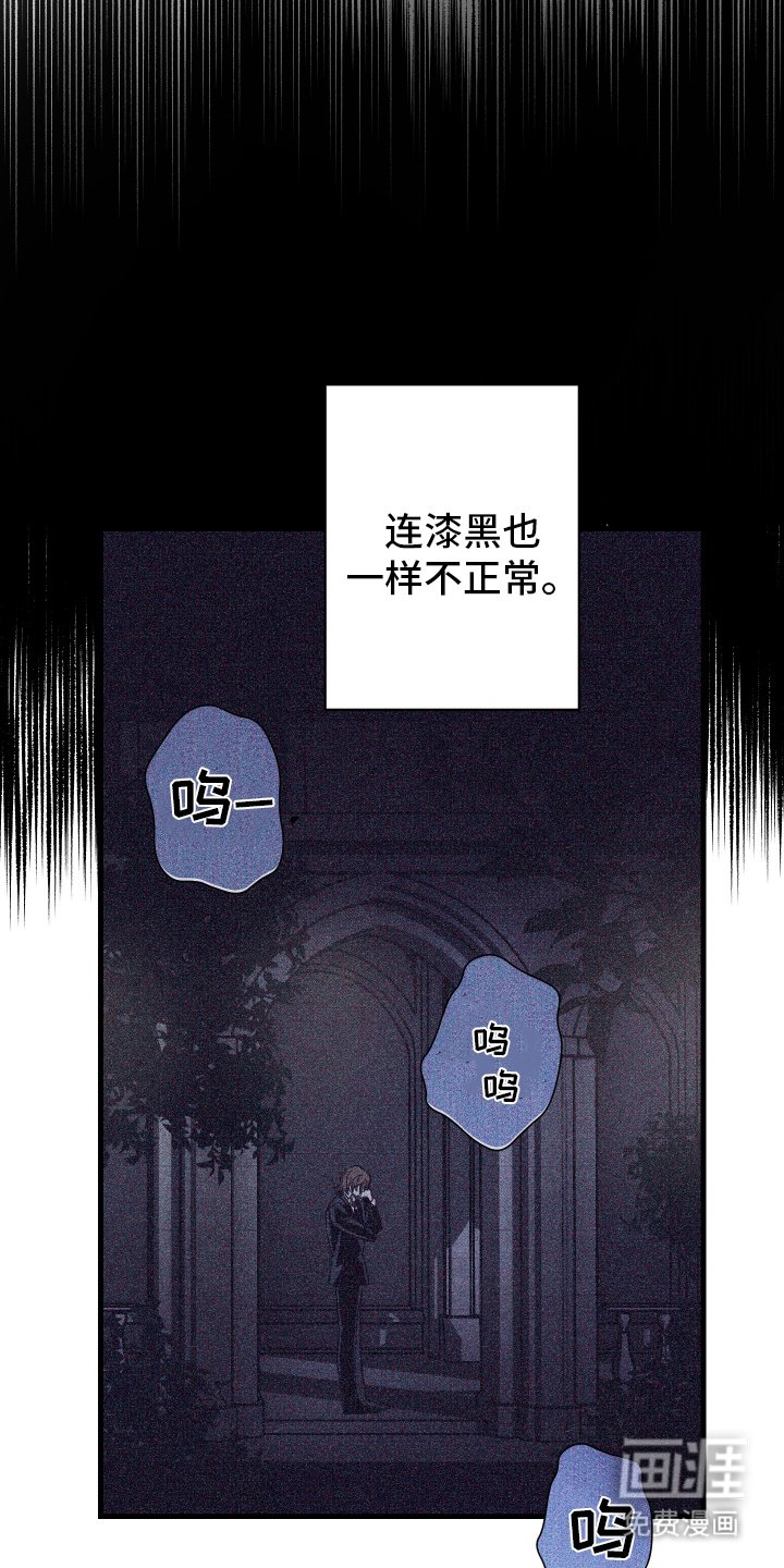 第14章：幻觉