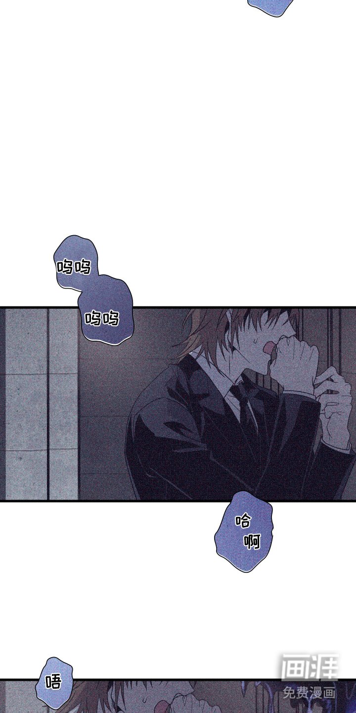 第14章：幻觉